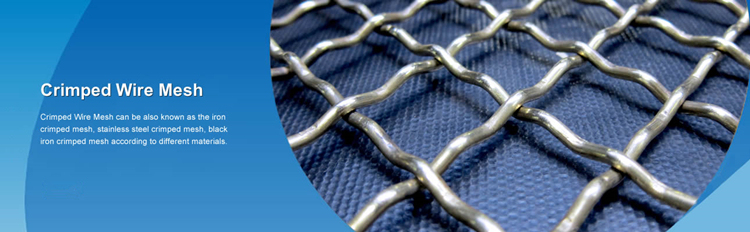 China Premium Plain Weave Galvanized Stainless Steel Crimped Square Wire Mesh