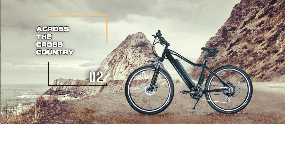 Chinese Factory MTB Electric Bicycle for Europe Market