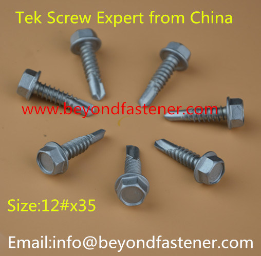 Torx Bit Screw Self Tapping Screw Decking Screw