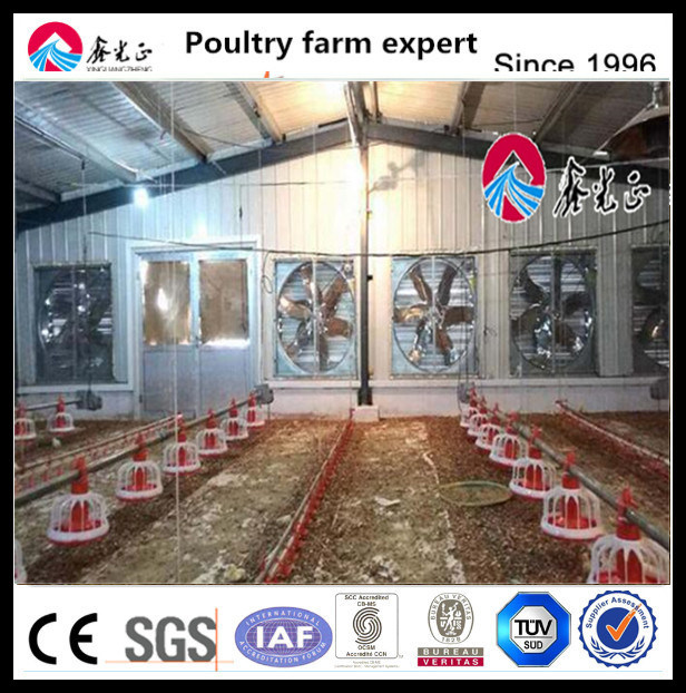 Cheap and Automatic Poultry Farm Feed Pan System