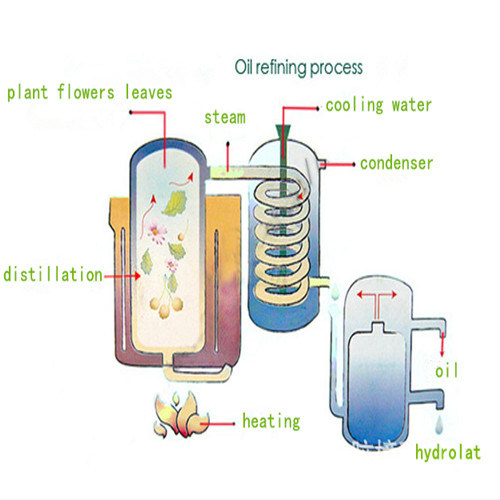 Multi Purpose Steam Glass Distillation Apparatus