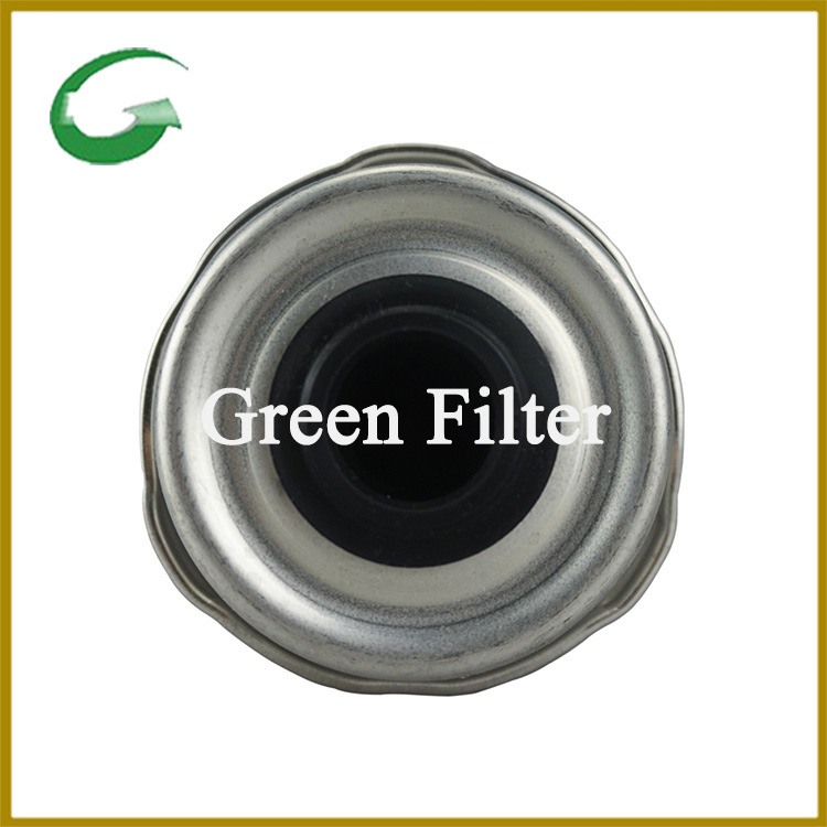 New Product Fuel Filter Re544394 Bf9892-D Fs20073