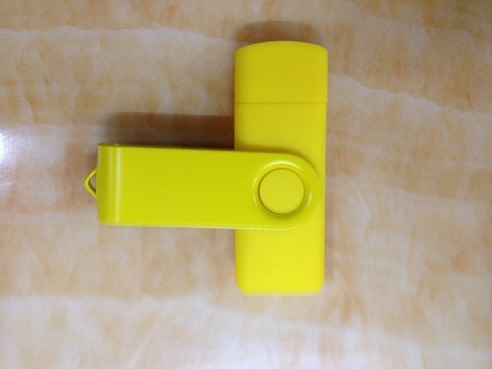 Classics Plastic Swivel USB Flash Drive (OM-P306)