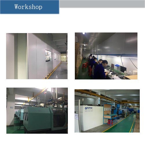 Plastic Injection Mould Manufacturer