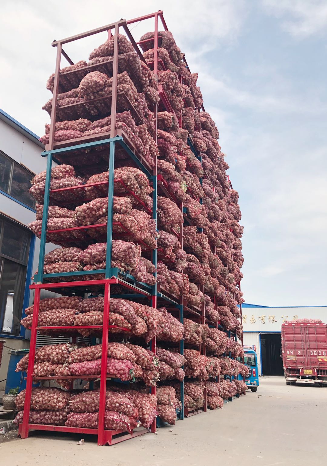 Hot sale garlic in china is jinxiang county garlic ,Garlic from Jinxiang,Planting garlic for decades,Have enough experience to control the quality of garlic products。Make sure people eat garlic healthily. Hot sale garlic in china is jinxiang county garlic ,Garlic from Jinxiang,Planting garlic for decades,Have enough experience to control the quality of garlic products。Make sure people eat garlic healthily.