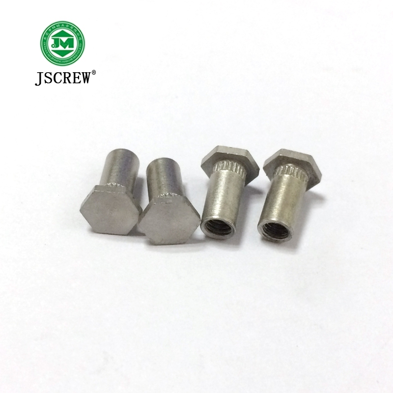 Customized Different Types Hex Head Rivet Nuts