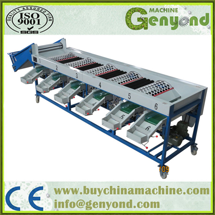 Special Design Automatic Garlic Sorting Machine