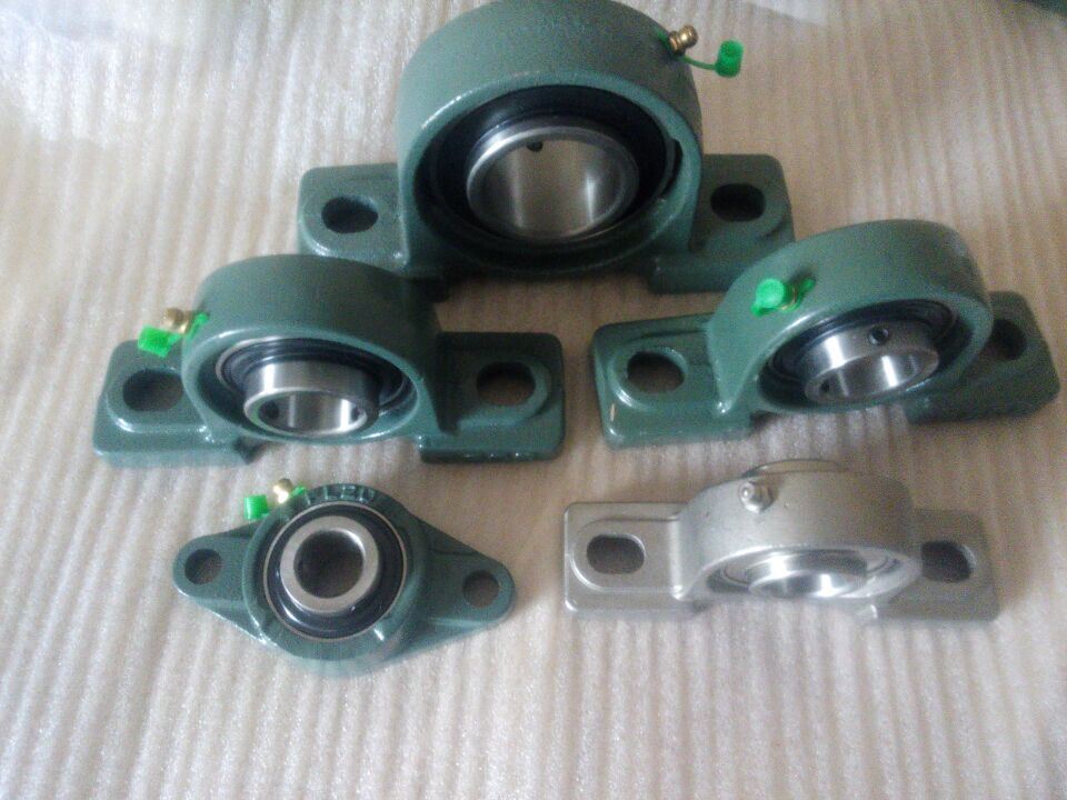 Chrome Steel and Cast Iron Housing Bearing