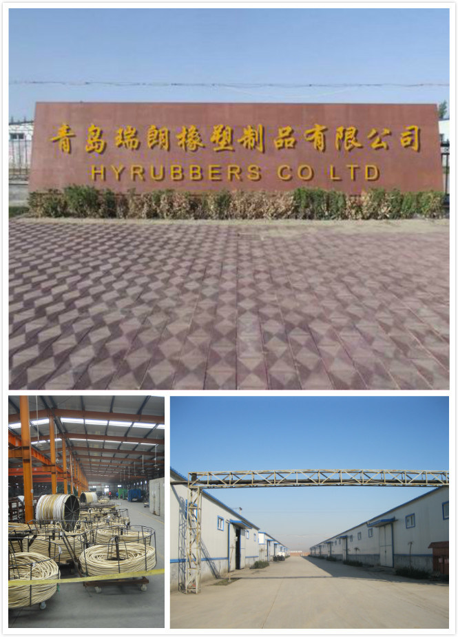 1sn 2sn 4sp 4sh Factory Produce Hydraulic Hose