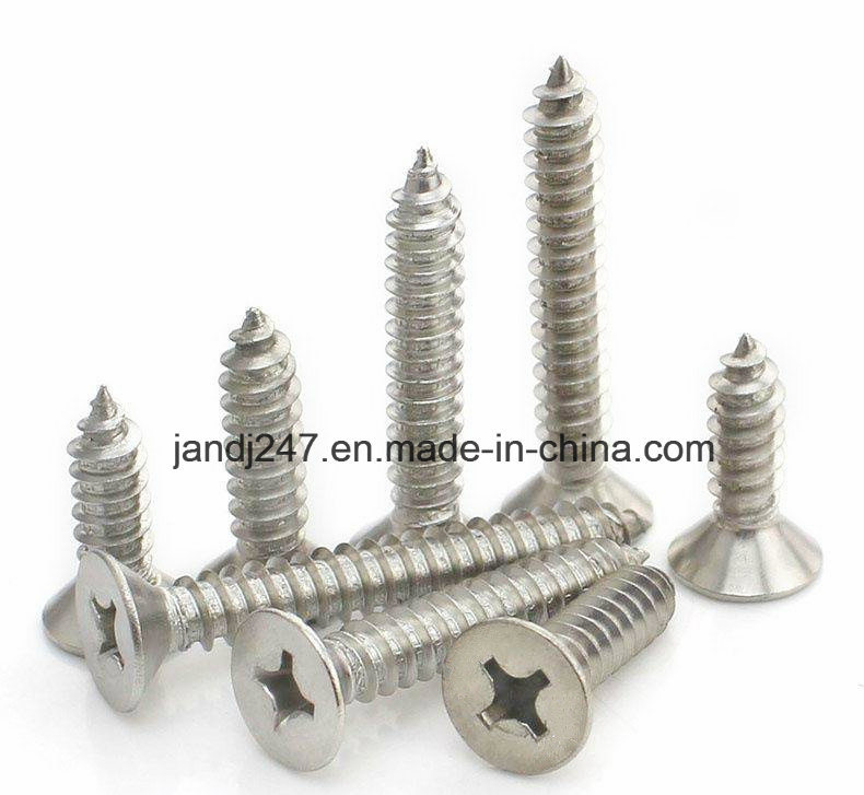 High Quality Stainless Steel 304 316 Self Tapping Screw Csk Head in Guangzhou