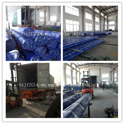 Duplex Stainless 2205 Seamless Steel Pipe/Tube