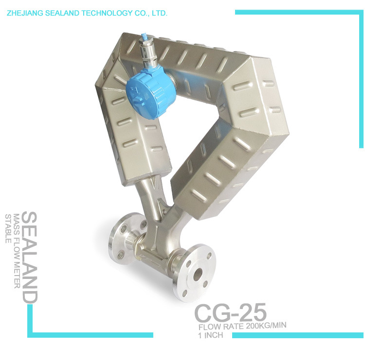 High Accuracy Mass Flow Meters in Measuring LPG Gas