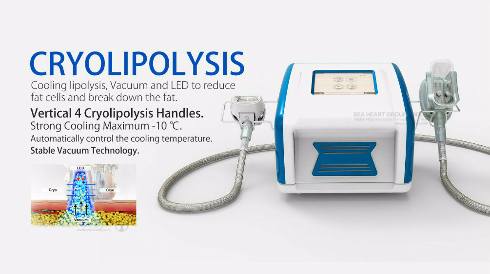 4 In1 Cryolipolysis Slimming Machine with Double Chin Removal Handle