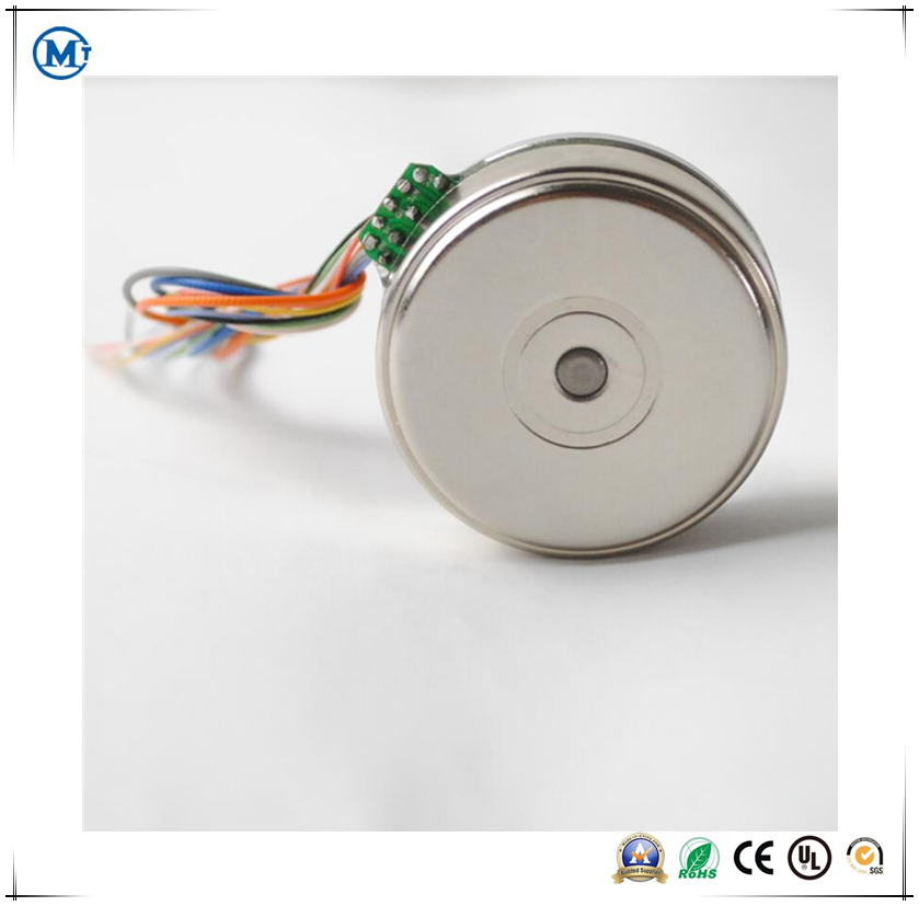 External Rotor 12V 24V BLDC Brushless Micro DC Motor