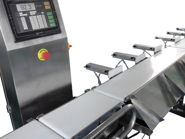 Touch Screen Checking Weigher