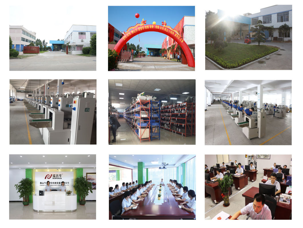 Cakes Moon Cake Bread Sorting & Feeding/Packaging Machine/ Automatic Packing Machine/ Food Packing Machine