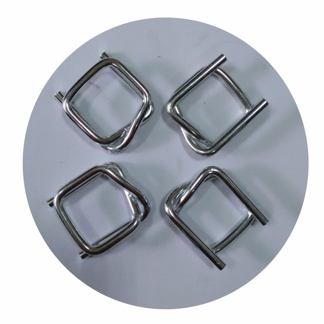 Hot Sale Strapping Wire Buckle Manufactured in Dongguan China