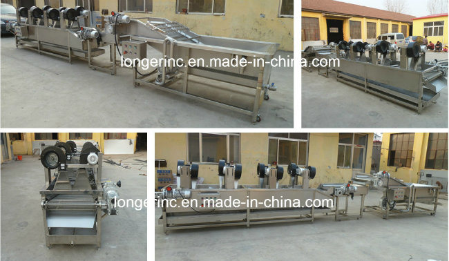 Industrial Hot Air Tomato Drying Machine Mushroom Dryer