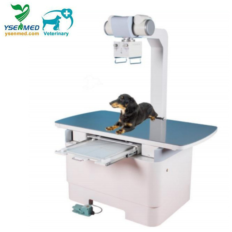 Medical Radiation Equipment 200mA Veterinary X-ray