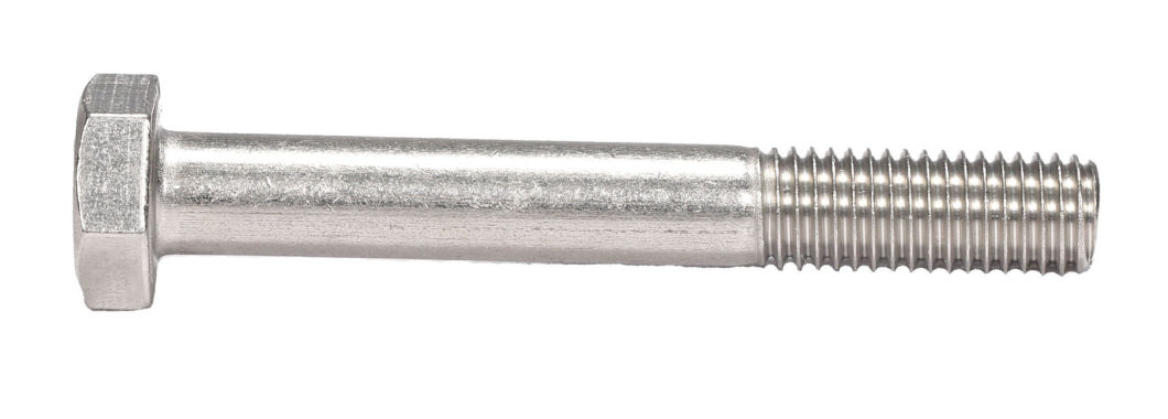 ANSI/ASTM/ASME Hex Head Cap Screw Hex Bolt with HDG