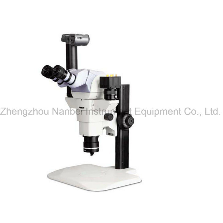 Professional Laboratory Use Study Grade Stereo Microscope