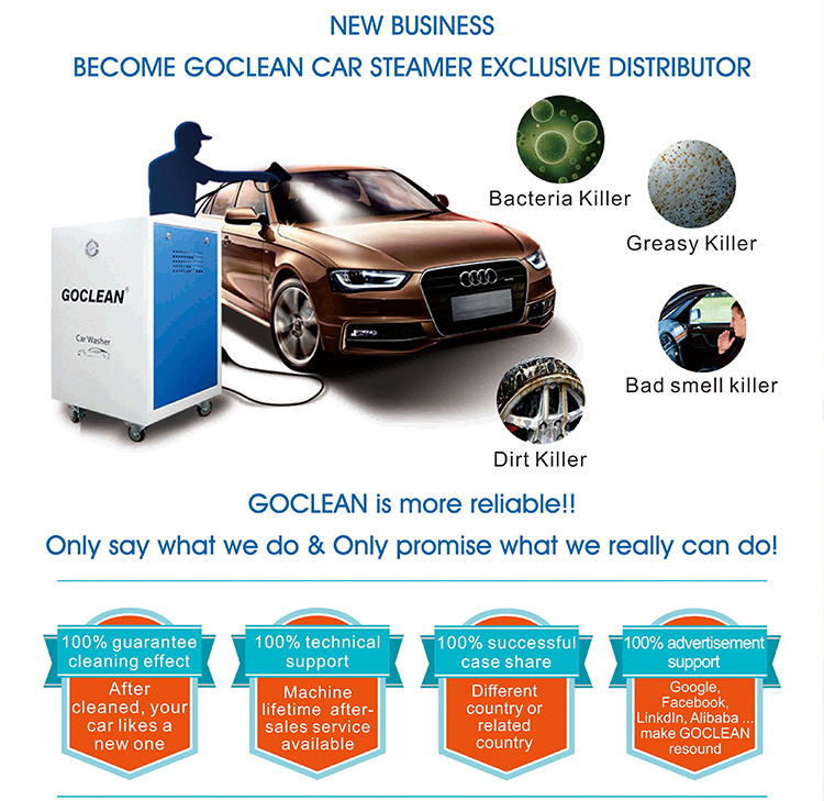 Ce Approved Factory Direct Sale Automotive Steam Cleaner