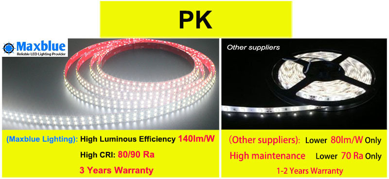 Waterproof 12V 24V LED Flexible Strip Light