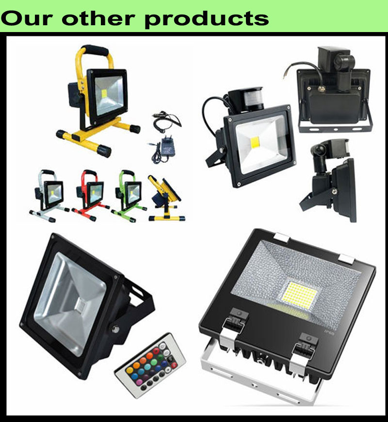 Outdoor Garden 50W RGB LED Flood Light with IR Controller