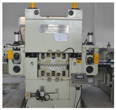 Professional Manufacturer of Rotary Shear Cut to Length Line Machine