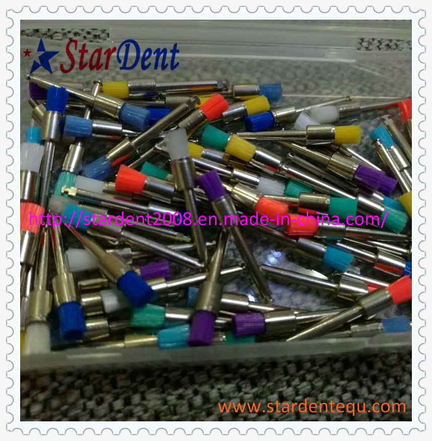 Disposable Prophy Brushes Factory of Dental Hospital Medical Lab Surgical Diagnostic Equipment