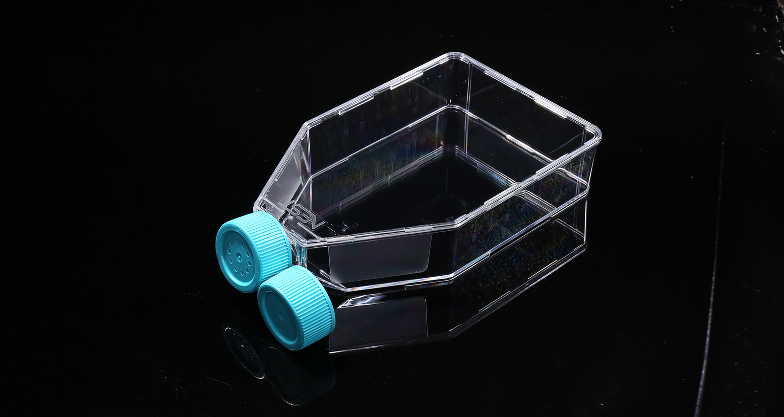 Cell Culture Flasks Cell Culture Flasks