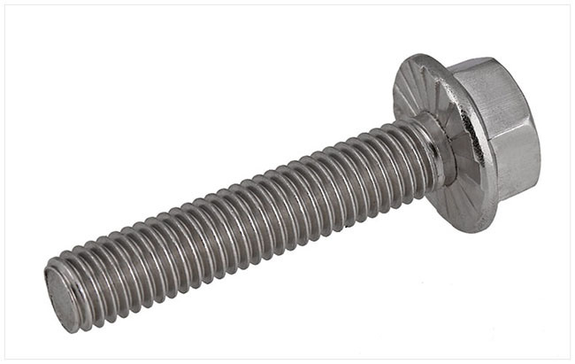 Stainless Steel Hex Head Hexagon Flange Bolt