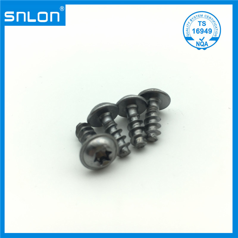 Trox Head Screw with Pan Head for Car Parts