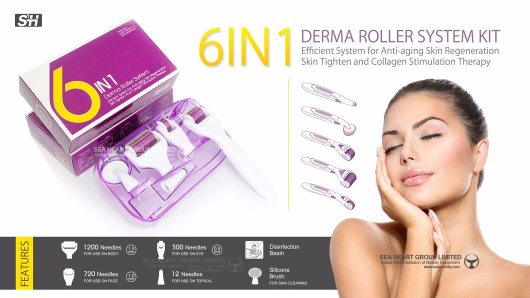 Derma Skin Roller Kit 6in1 Microneedles Skin Care Stainless Steel