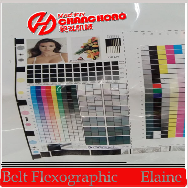 6 Color Roll Paper Flexographic Printing Machine (CJN86 series)