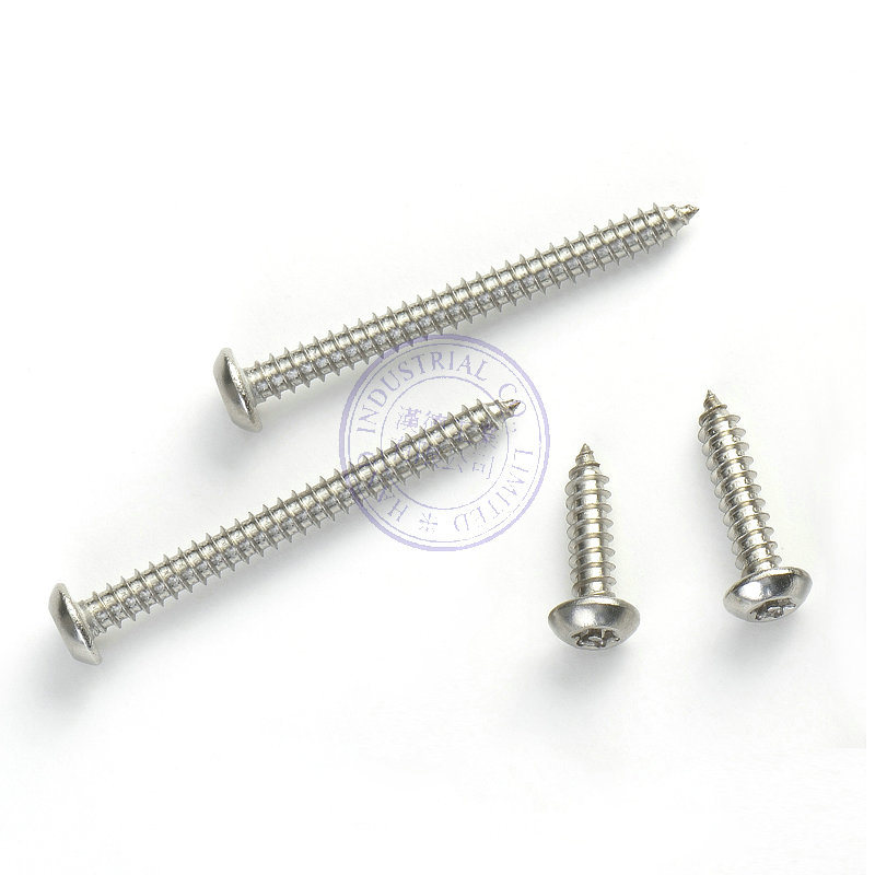 Stainless Steel Torx Tamper Proof Security Tapping Screw