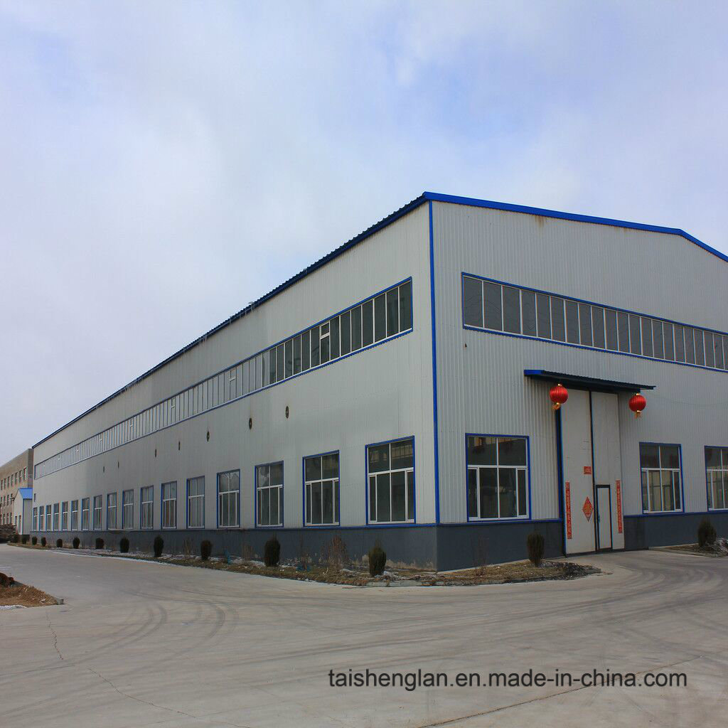 Made in China Customized Design Steel Structure