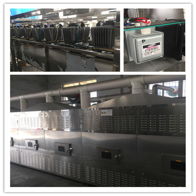 Microwave Bean Product Drying Sterilization Equipment