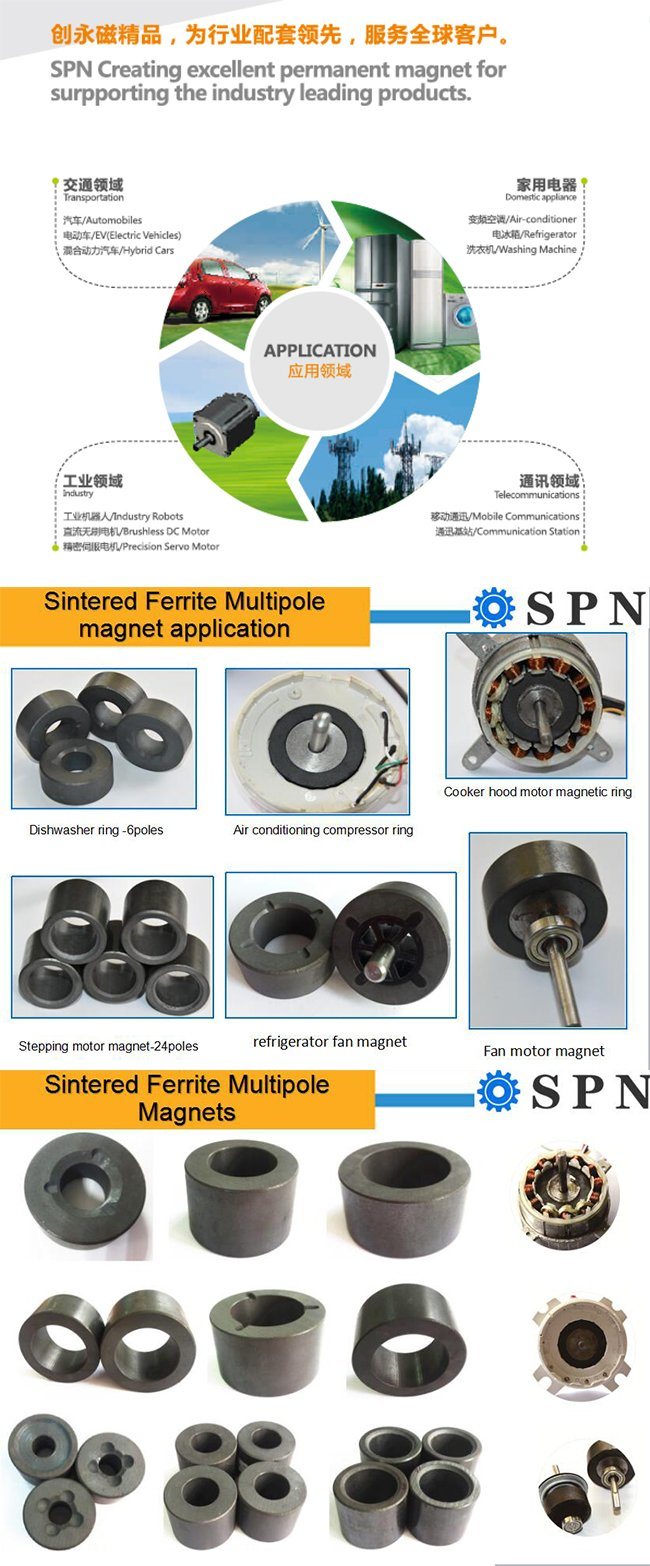 Permanent Ferrite/ Ceramic/ Ferrite Permanent Multipole Magnet for Motors