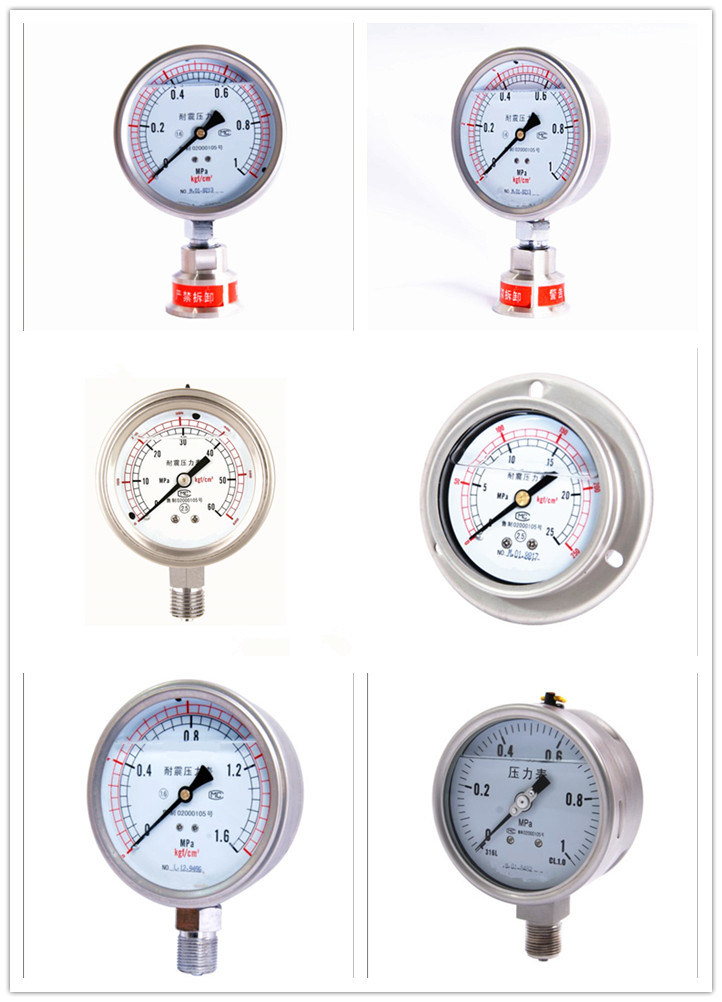 Hot Sales Shock - Resistant Pressure Gauge Ytn - 100zt