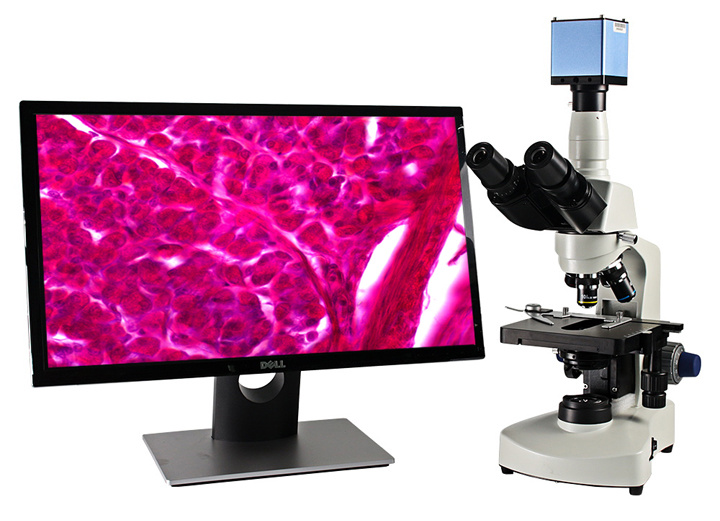 Three Lab Biological Video Microscope