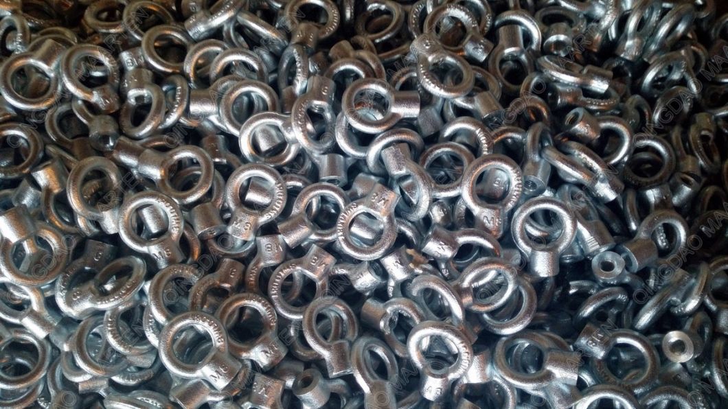 Stainless Steel DIN580 Forged Eye Bolt