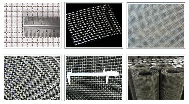 Galvanized Stainless Steel Crimped Wire Mesh Square Wire Mesh