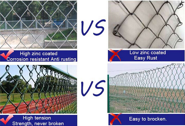 Wholesale PVC Coated Chain Link Fence