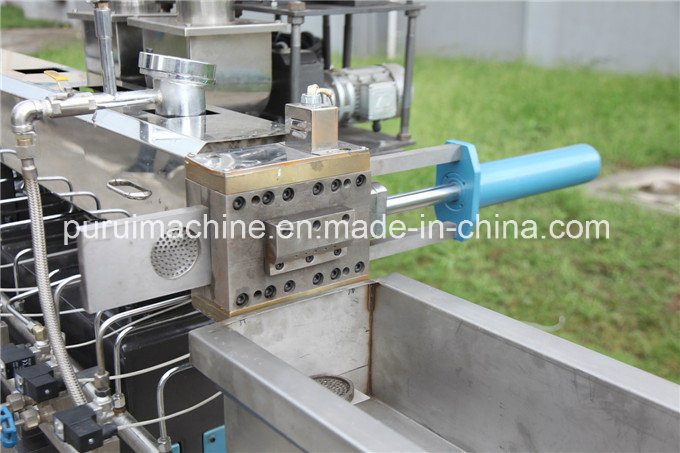 Co-Rotating Parallel Twin Screw Plastic Laboratory Extruder