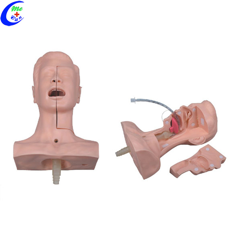 Medical Education Suction Training Model