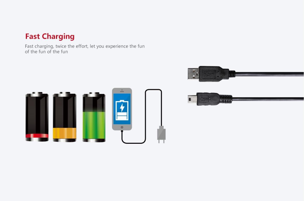 Mini USB Cable - USB to Mini USB Connection