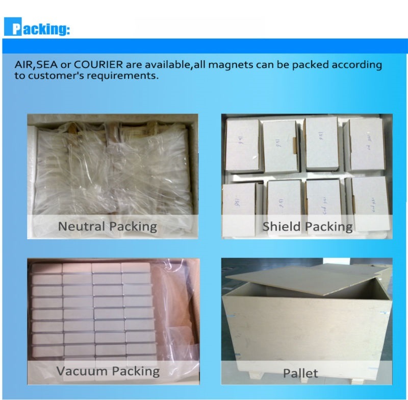 High Performance Sintered NdFeB Special Shape Magnet