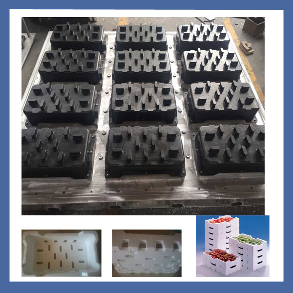 EPS Foam Mould Making for Fruit Boxes