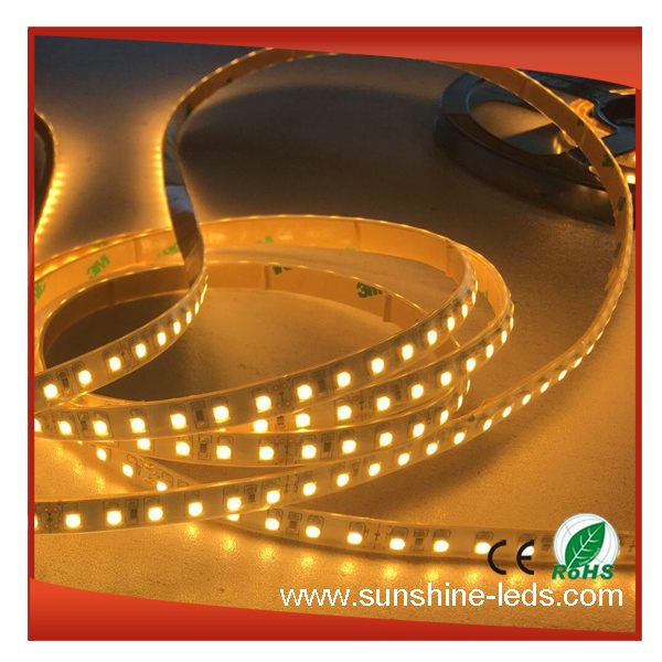 Waterproof Flexible LED Light Strip with SMD3528 600LED